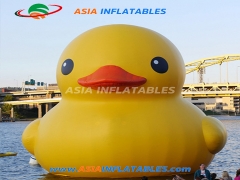 Customized Custom Cute Inflatable Duck Cartoon For Pool Floating with wholesale price