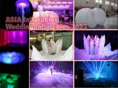 Bruiloft partij inflatables